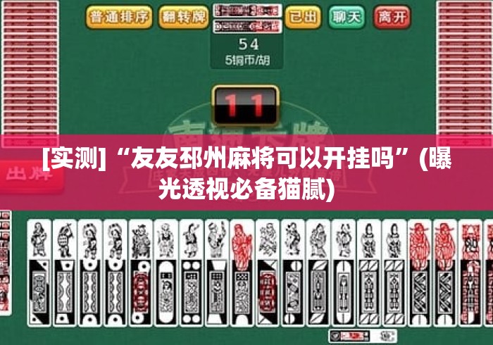 [实测]“友友邳州麻将可以开挂吗”(曝光透视必备猫腻)