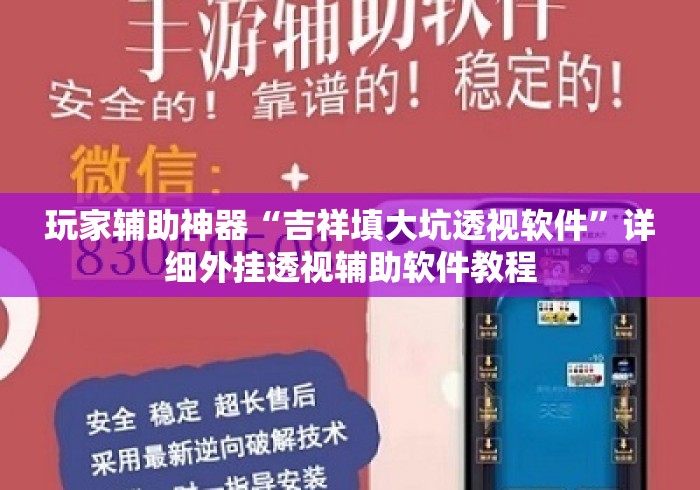 玩家辅助神器“吉祥填大坑透视软件”详细外挂透视辅助软件教程