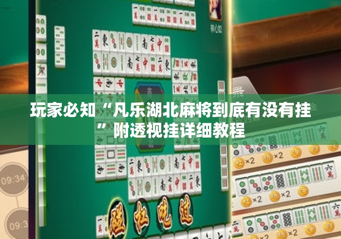 玩家必知“凡乐湖北麻将到底有没有挂”附透视挂详细教程