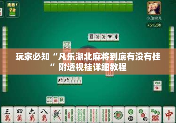 玩家必知“凡乐湖北麻将到底有没有挂	”附透视挂详细教程