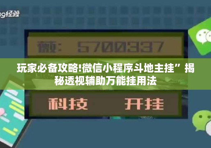 玩家必备攻略!微信小程序斗地主挂”揭秘透视辅助万能挂用法
