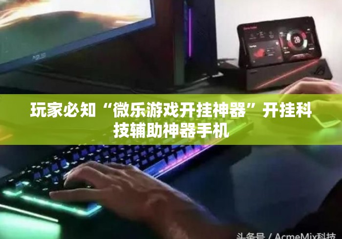 玩家必知“微乐游戏开挂神器”开挂科技辅助神器手机