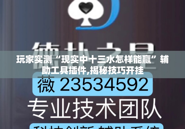 玩家实测“现实中十三水怎样能赢	”辅助工具插件,揭秘技巧开挂