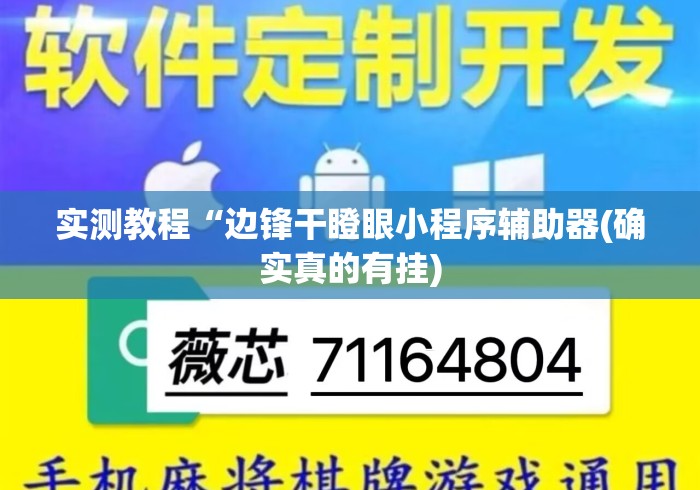实测教程“边锋干瞪眼小程序辅助器(确实真的有挂)
