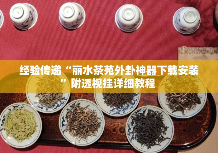 经验传递“丽水茶苑外卦神器下载安装”附透视挂详细教程 