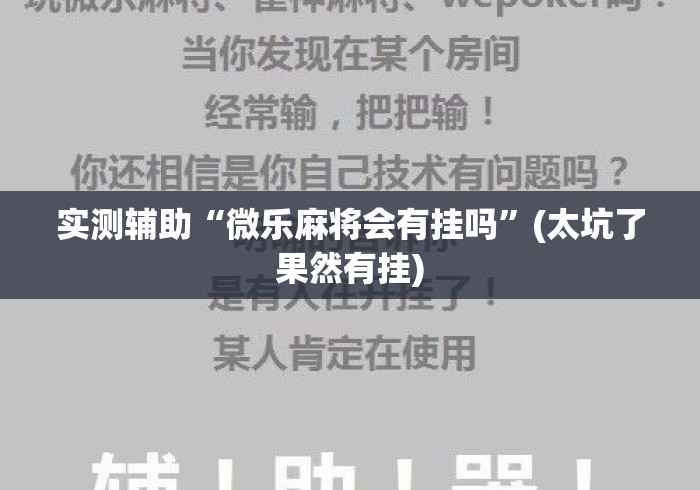 实测辅助“微乐麻将会有挂吗”(太坑了果然有挂)