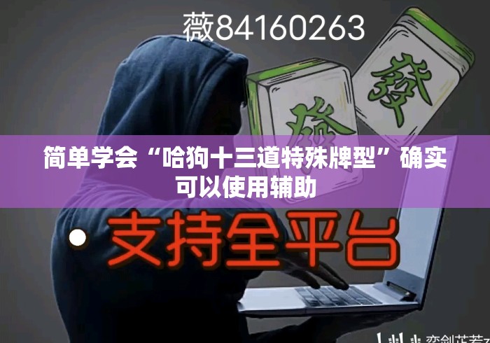 简单学会“哈狗十三道特殊牌型	”确实可以使用辅助