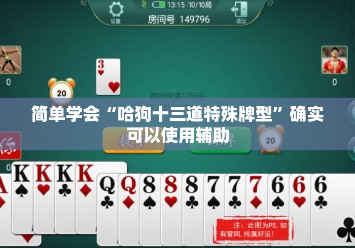 简单学会“哈狗十三道特殊牌型”确实可以使用辅助