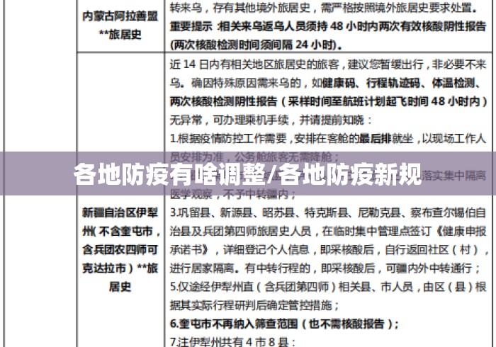 各地防疫有啥调整/各地防疫新规