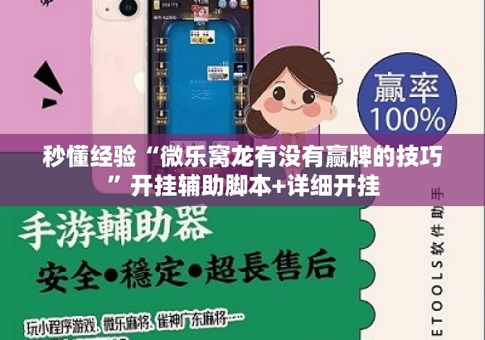 秒懂经验“微乐窝龙有没有赢牌的技巧”开挂辅助脚本+详细开挂