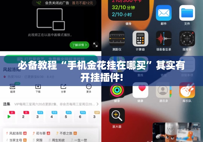 必备教程“手机金花挂在哪买”其实有开挂插件!
