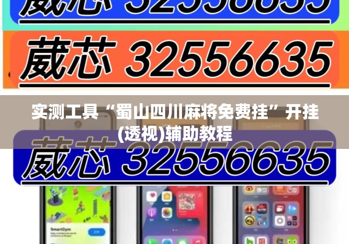 实测工具“蜀山四川麻将免费挂	”开挂(透视)辅助教程