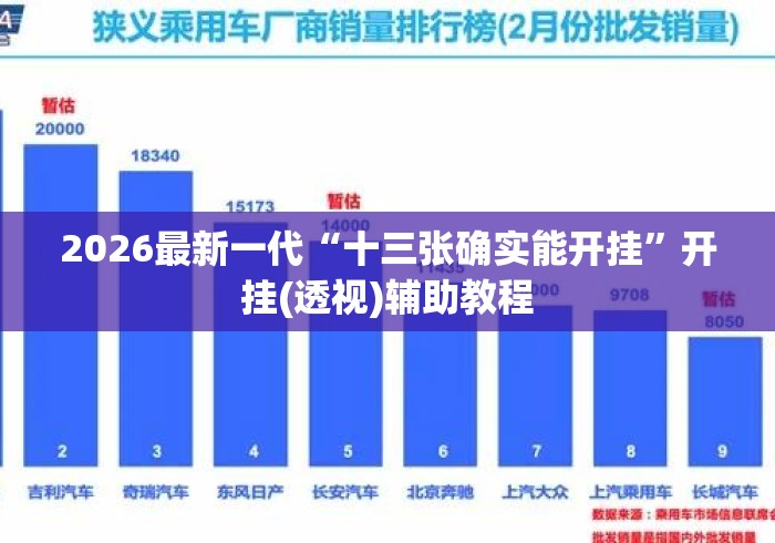 2026最新一代“十三张确实能开挂	”开挂(透视)辅助教程