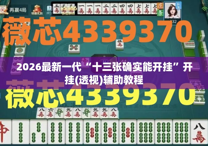 2026最新一代“十三张确实能开挂	”开挂(透视)辅助教程