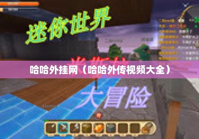 哈哈外挂网（哈哈外传视频大全）