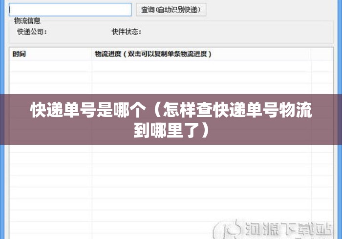 快递单号是哪个（怎样查快递单号物流到哪里了）