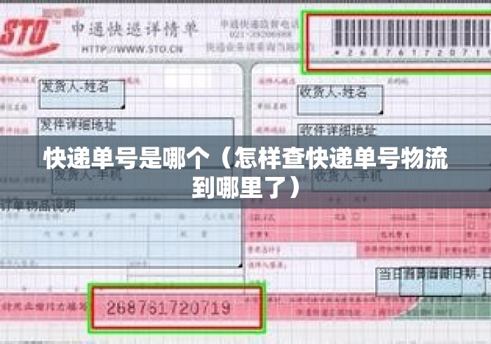快递单号是哪个（怎样查快递单号物流到哪里了）