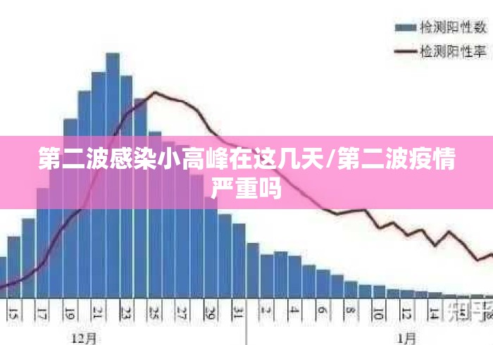 第二波感染小高峰在这几天/第二波疫情严重吗