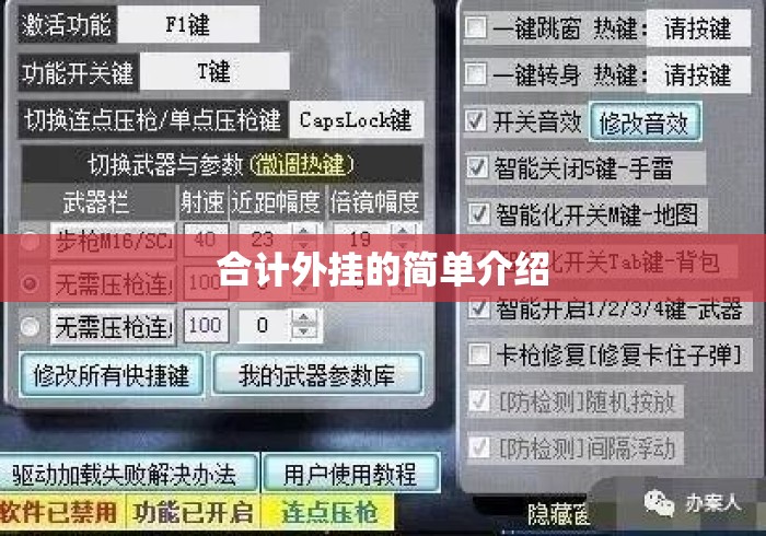 合计外挂的简单介绍