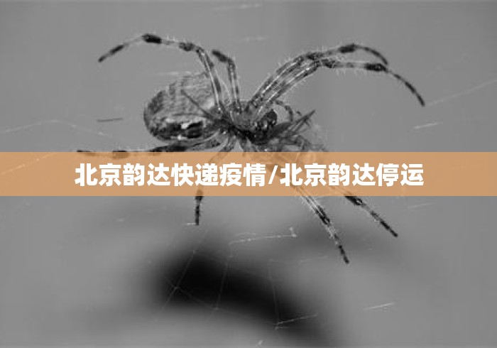 北京韵达快递疫情/北京韵达停运 北京韵达快递疫情/北京韵达停运