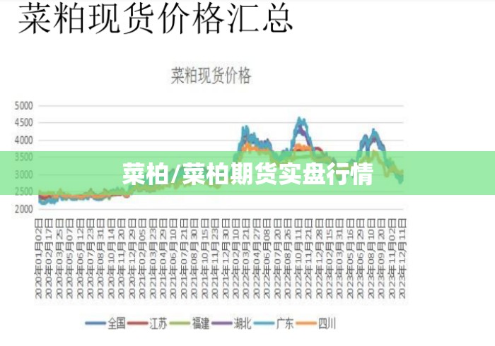 菜柏/菜柏期货实盘行情 菜柏/菜柏期货实盘行情