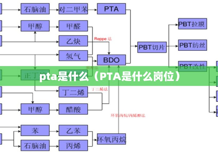 pta是什么（PTA是什么岗位）