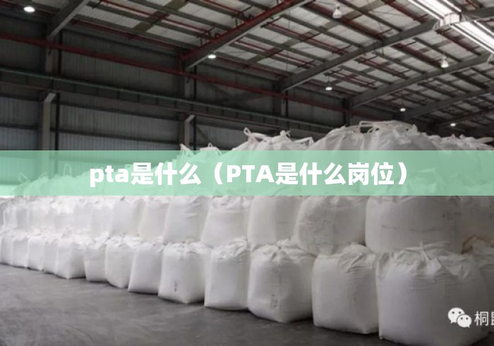 pta是什么（PTA是什么岗位）