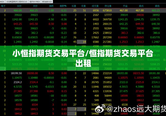 小恒指期货交易平台/恒指期货交易平台出租