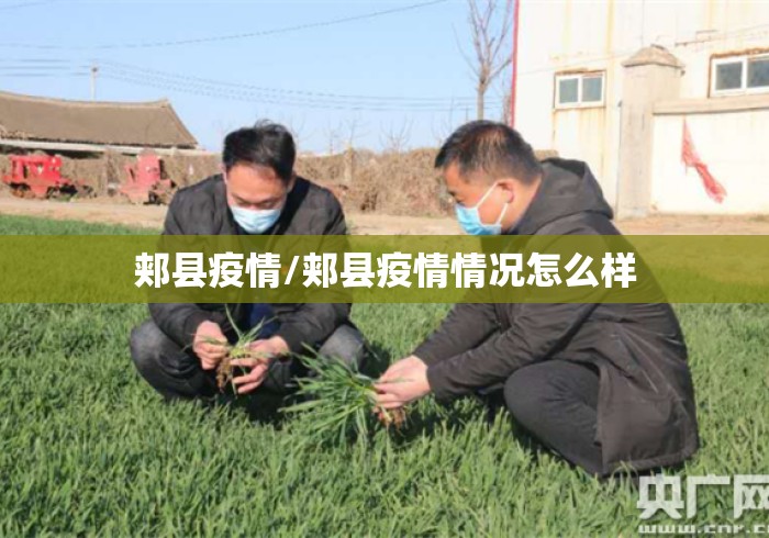 郏县疫情/郏县疫情情况怎么样