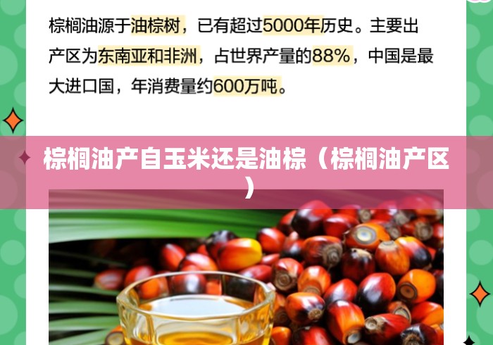 棕榈油产自玉米还是油棕(棕榈油产区) 棕榈油产自玉米还是油棕(棕榈油产区)