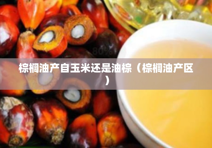 棕榈油产自玉米还是油棕(棕榈油产区) 棕榈油产自玉米还是油棕(棕榈油产区)