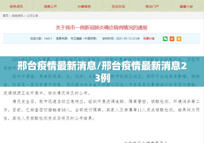 邢台疫情最新消息/邢台疫情最新消息23例