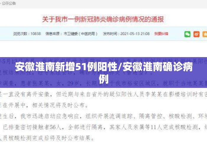 安徽淮南新增51例阳性/安徽淮南确诊病例