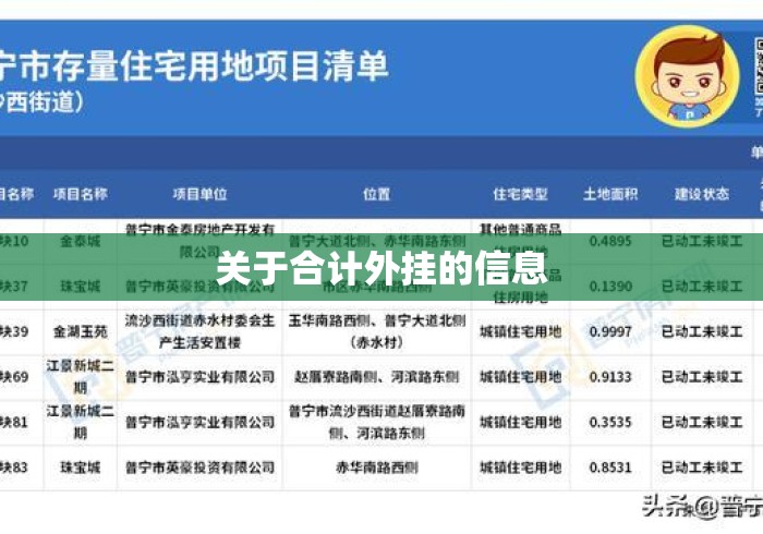 关于合计外挂的信息