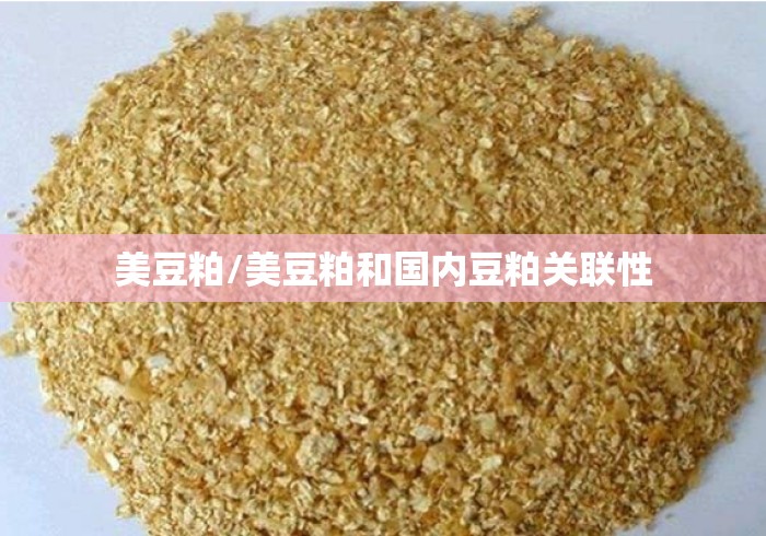 美豆粕/美豆粕和国内豆粕关联性
