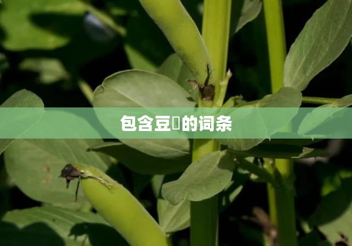 包含豆粨的词条