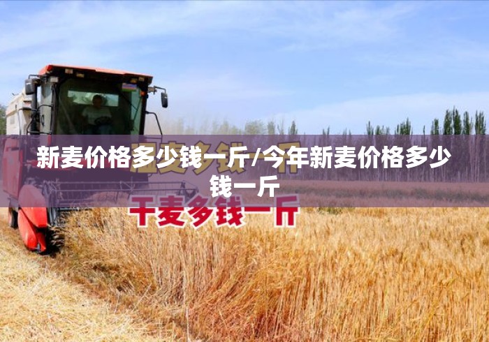 新麦价格多少钱一斤/今年新麦价格多少钱一斤