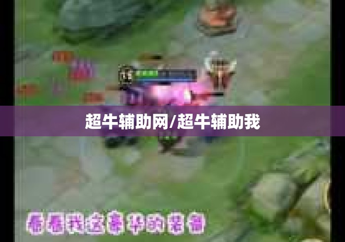 超牛辅助网/超牛辅助我