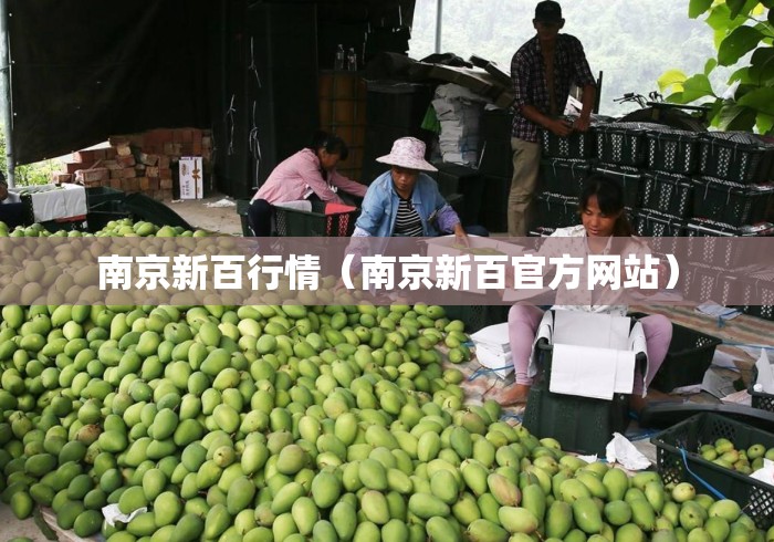 南京新百行情（南京新百官方网站）
