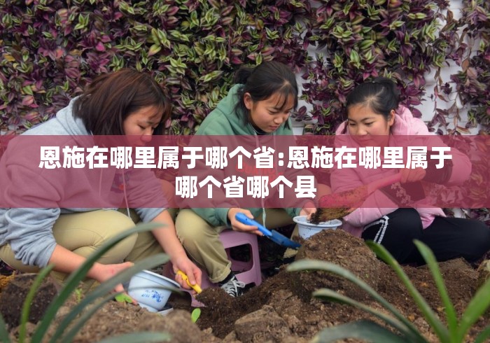 恩施在哪里属于哪个省:恩施在哪里属于哪个省哪个县 恩施在哪里属于哪个省:恩施在哪里属于哪个省哪个县