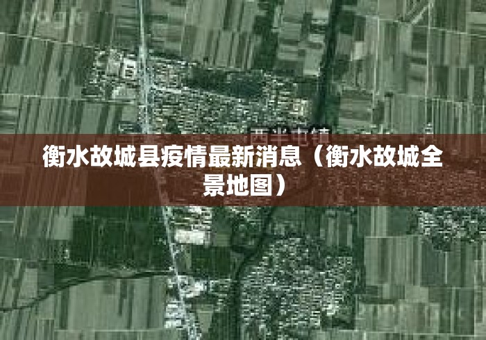 衡水故城县疫情最新消息（衡水故城全景地图）