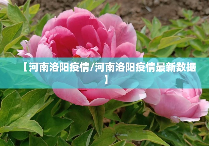 【河南洛阳疫情/河南洛阳疫情最新数据】