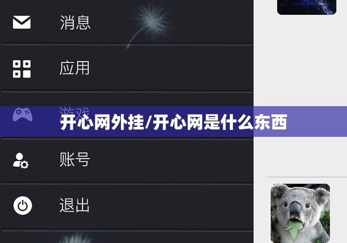 开心网外挂/开心网是什么东西