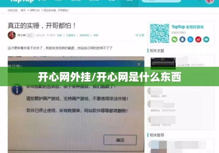 开心网外挂/开心网是什么东西