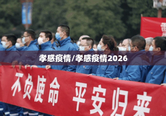 孝感疫情/孝感疫情2026