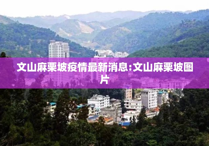 文山麻栗坡疫情最新消息:文山麻栗坡图片 文山麻栗坡疫情最新消息:文山麻栗坡图片