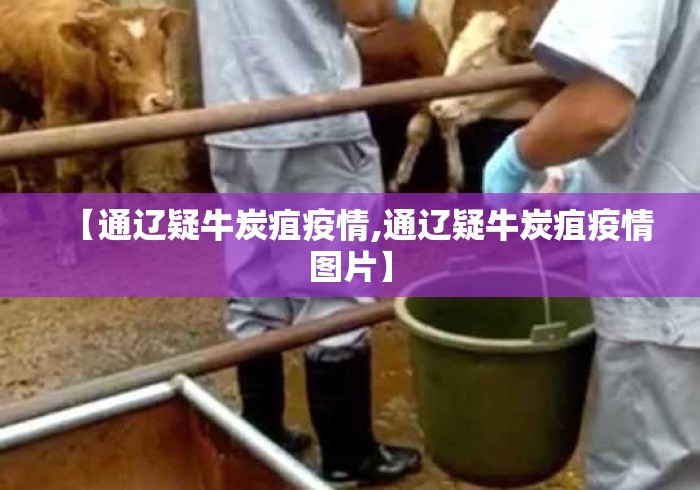 【通辽疑牛炭疽疫情,通辽疑牛炭疽疫情图片】