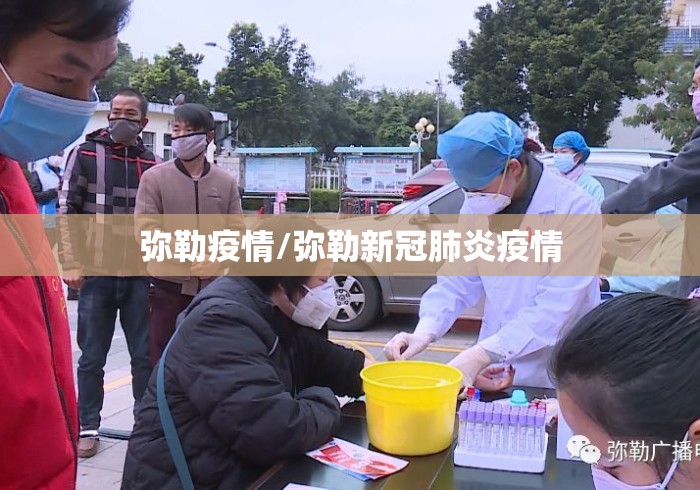 弥勒疫情/弥勒新冠肺炎疫情