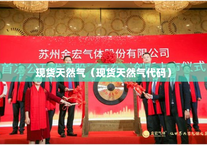 现货天然气（现货天然气代码）
