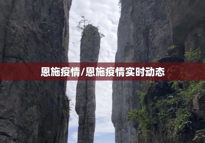 恩施疫情/恩施疫情实时动态